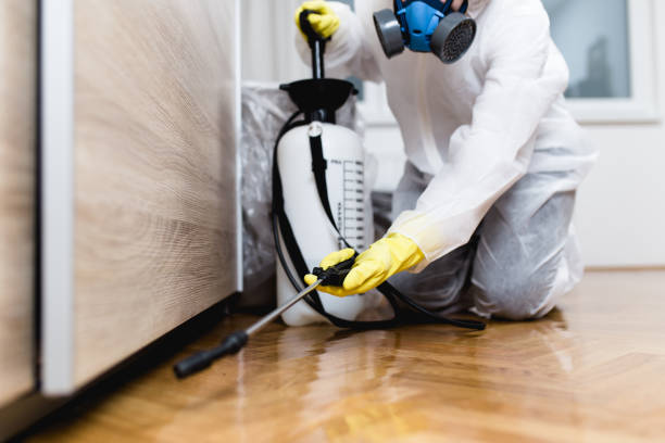 Best Affordable Pest Control Services  in Jersey Shore, PA