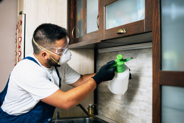 Best Pest Removal Services  in Jersey Shore, PA