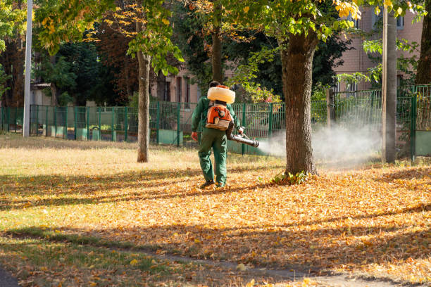Best Pest Inspection Near Me  in Jersey Shore, PA
