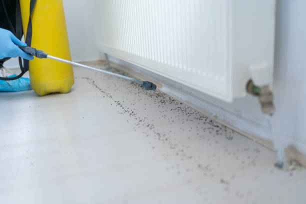 Insect Control in Jersey Shore, PA